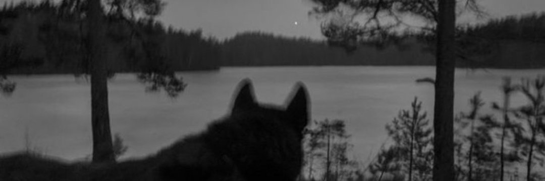 2f22222's profile banner image