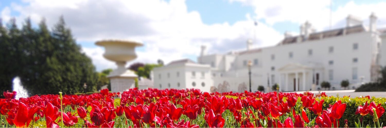 President of Ireland (Parody) banner