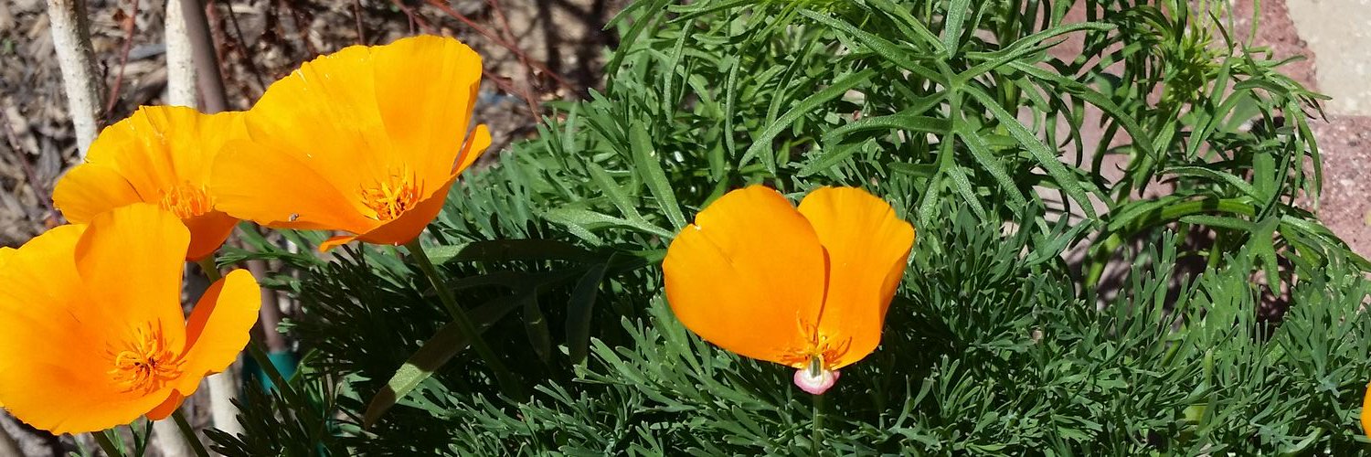 ccsmith1145's profile banner image