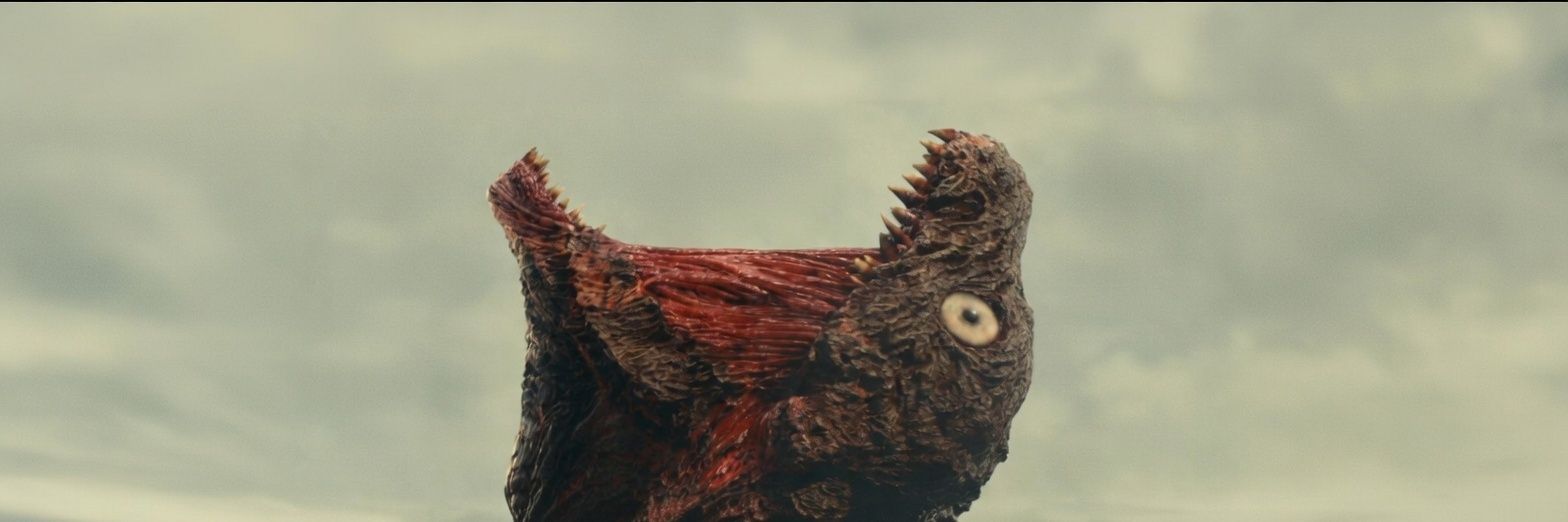 felosirepsik's profile banner image