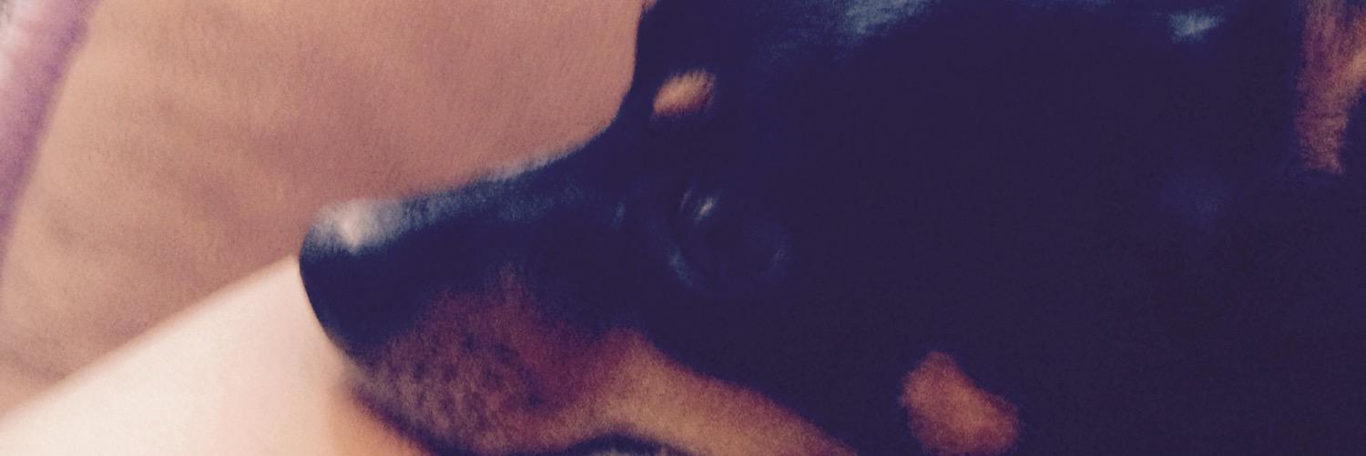 ChipsSmith's profile banner image
