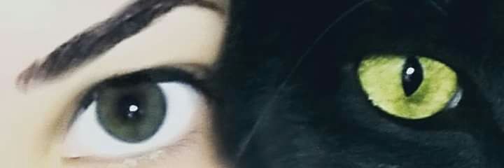 claradrcintra's profile banner image