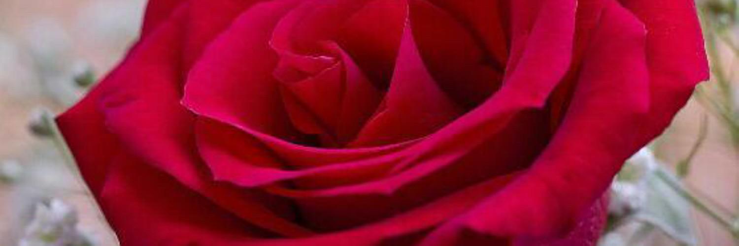 Oo3012's profile banner image
