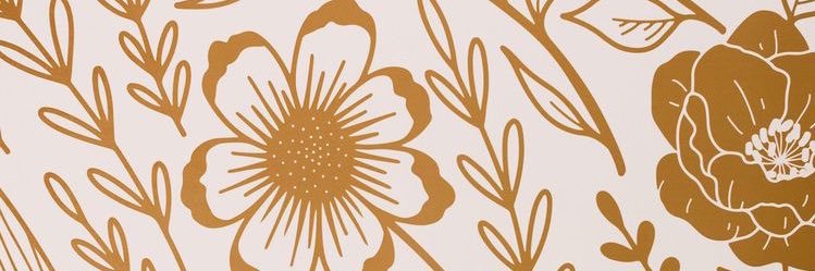 kaaaaaitlinROSE's profile banner image