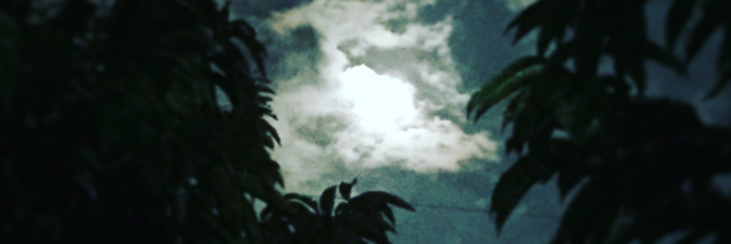 よしだ banner