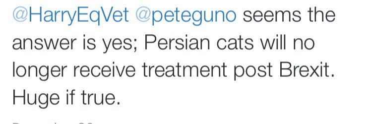peteguno's profile banner image
