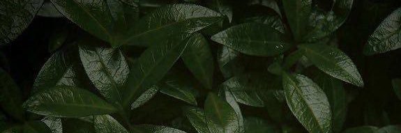 Kenny_raphaell's profile banner image