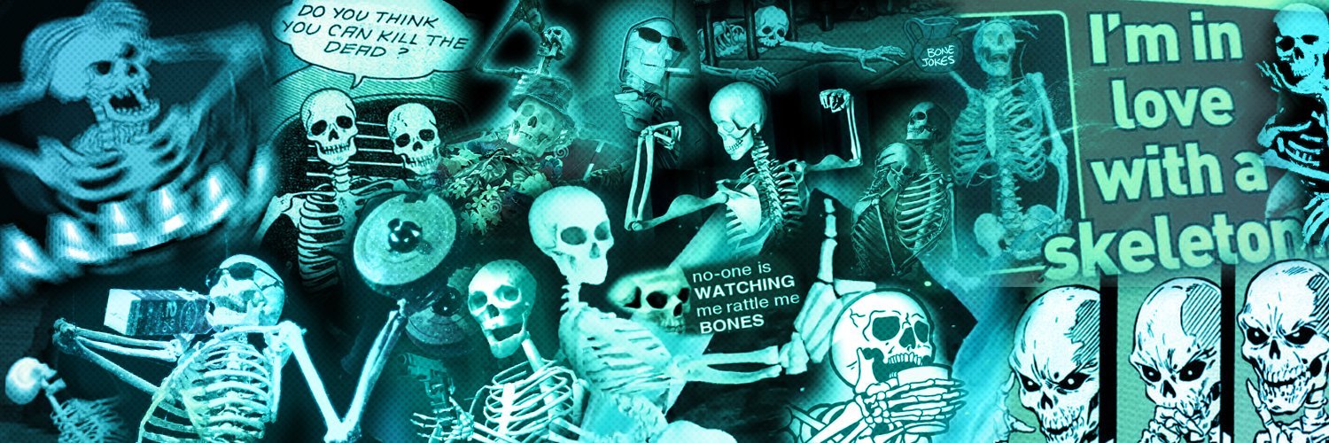 SkeleSlime's profile banner image