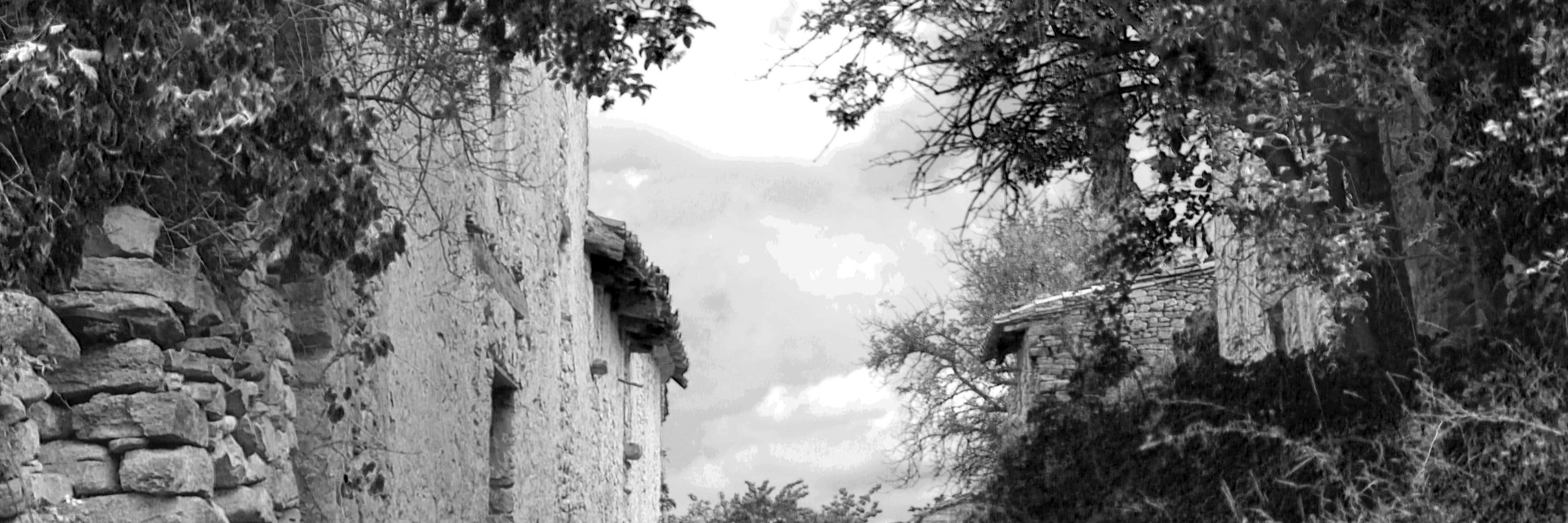 A_Moya_'s profile banner image