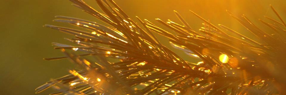 CambiumAb's profile banner image