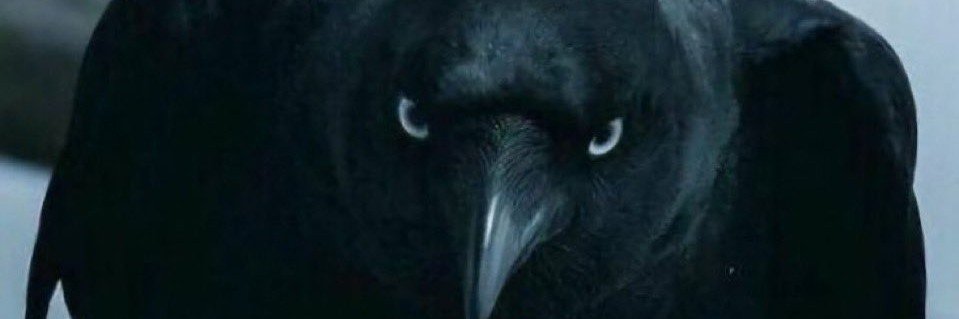 FukYurFeelings0's profile banner image