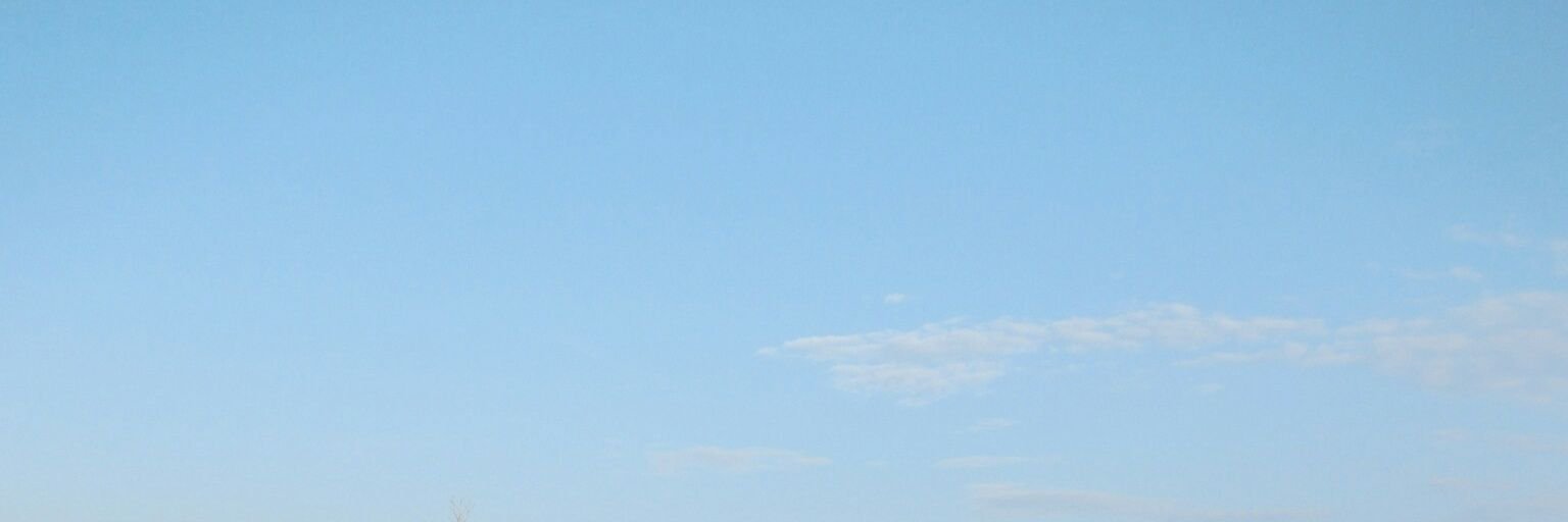 wisa44's profile banner image