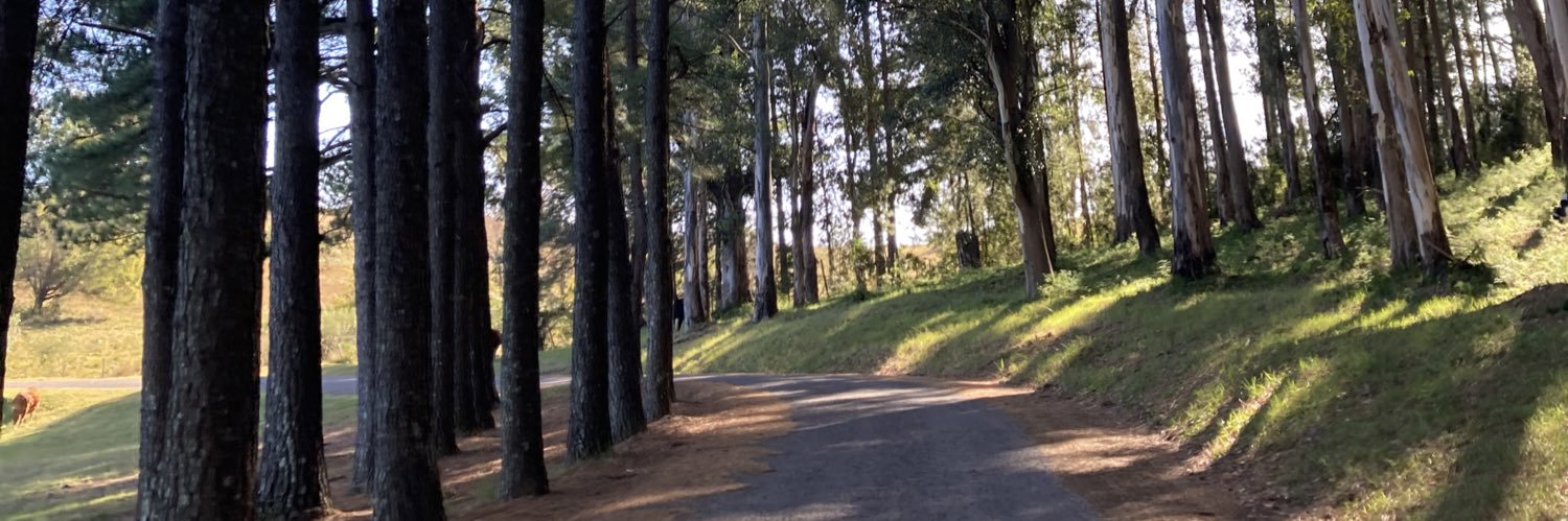 umaboamoca's profile banner image