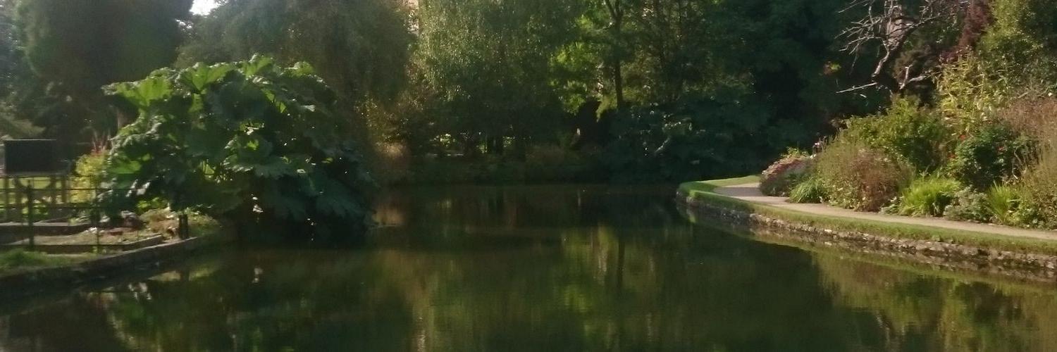 Joanne Foster banner