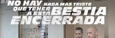 nestorye75's profile banner image