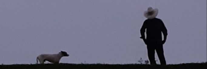 marceloviola10's profile banner image