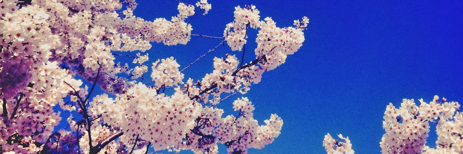 _hinachi7's profile banner image
