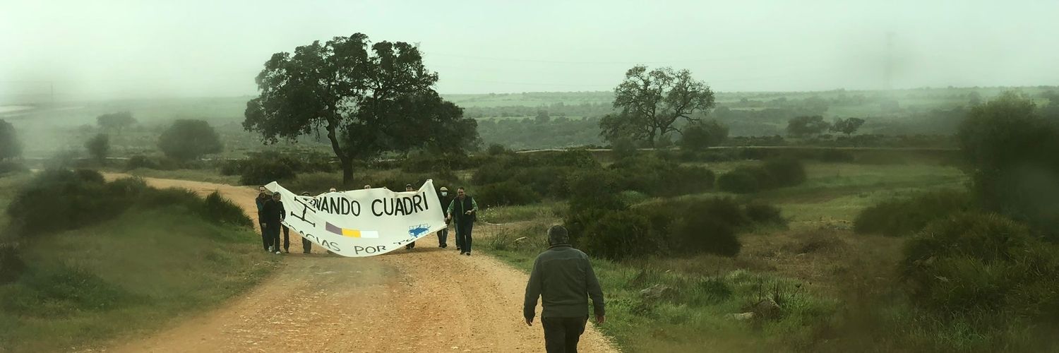 David Castuera banner