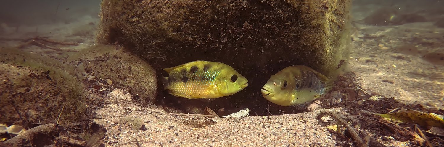 FW Conservation banner