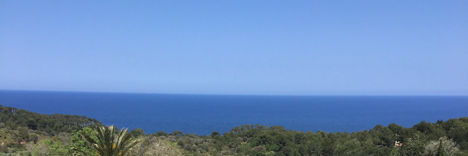 merlucillo's profile banner image