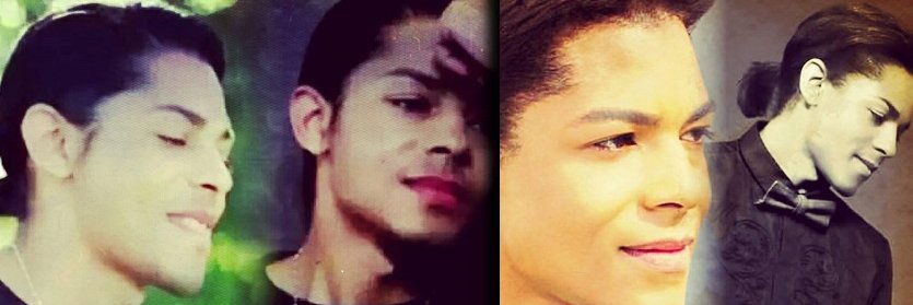 B. Howard Brigade banner