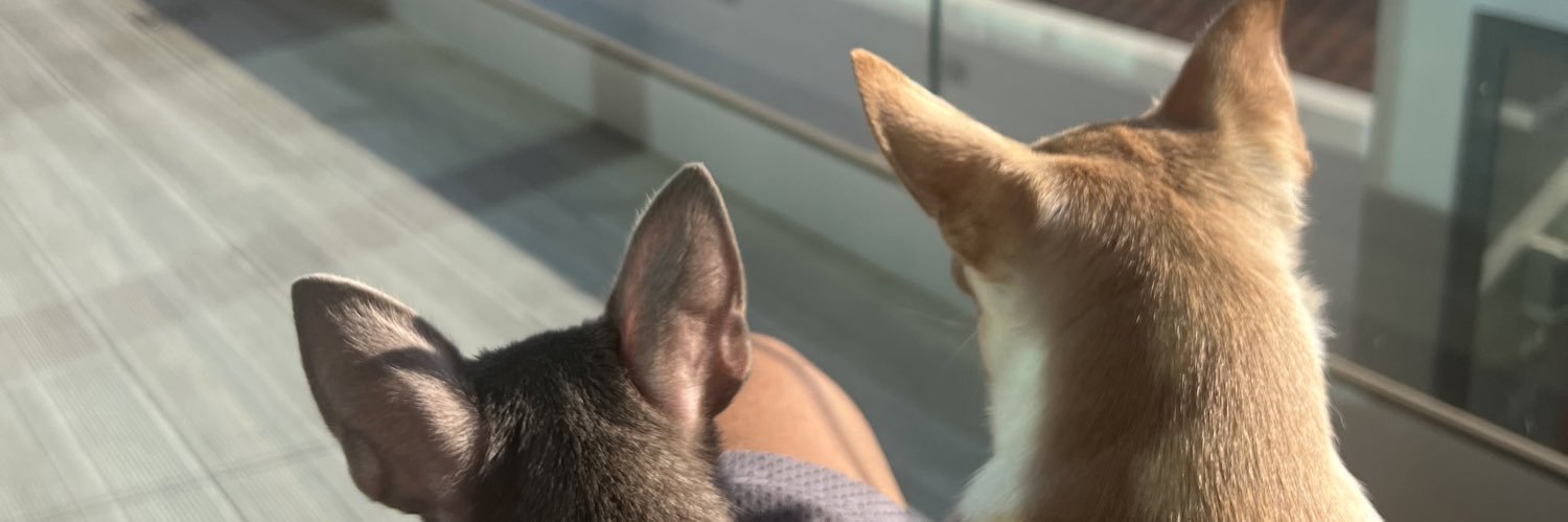 fffbarradas's profile banner image