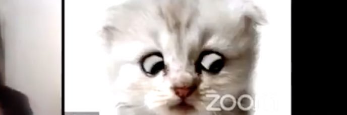 iam_kt_'s profile banner image