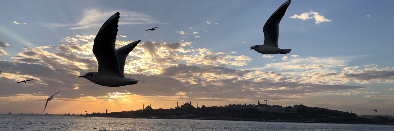 fsallabas_'s profile banner image