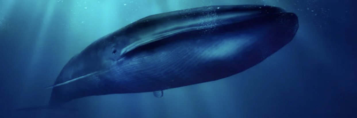 Andorus79's profile banner image