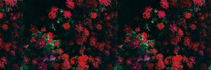 rileybecks_'s profile banner image