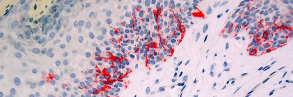 Dr_Jukic Profile Banner