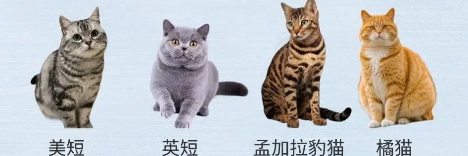 Aidon_520's profile banner image