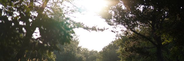 tonyseets Profile Banner