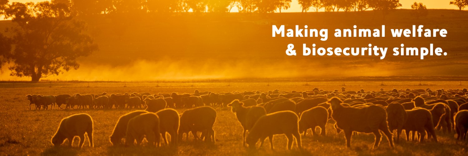 VFF Stock Sense banner