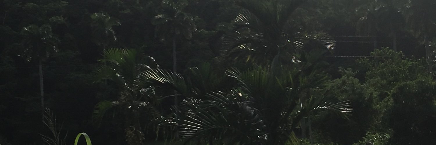 Yosbel607's profile banner image
