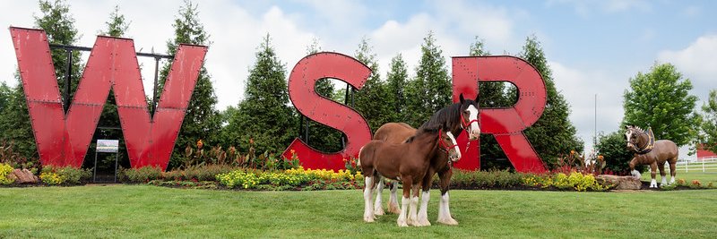 Warm Springs Ranch banner