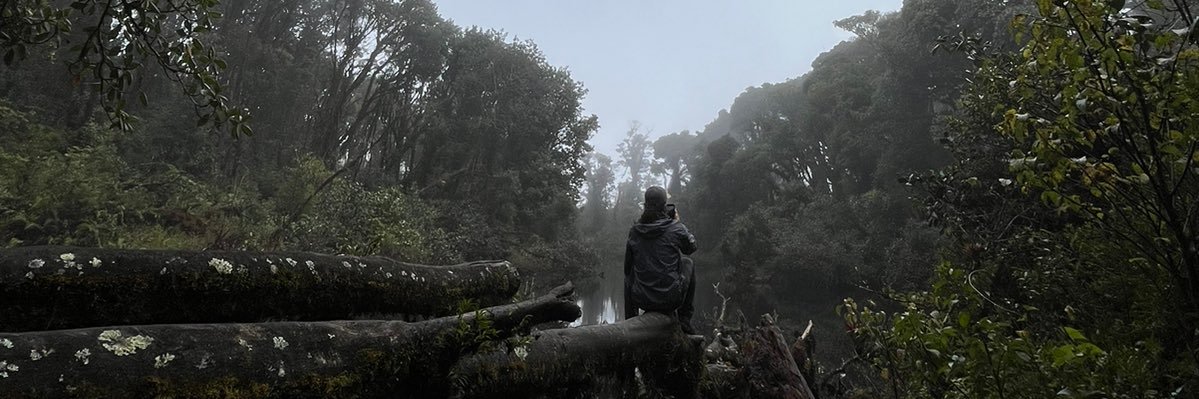 jdelvx's profile banner image