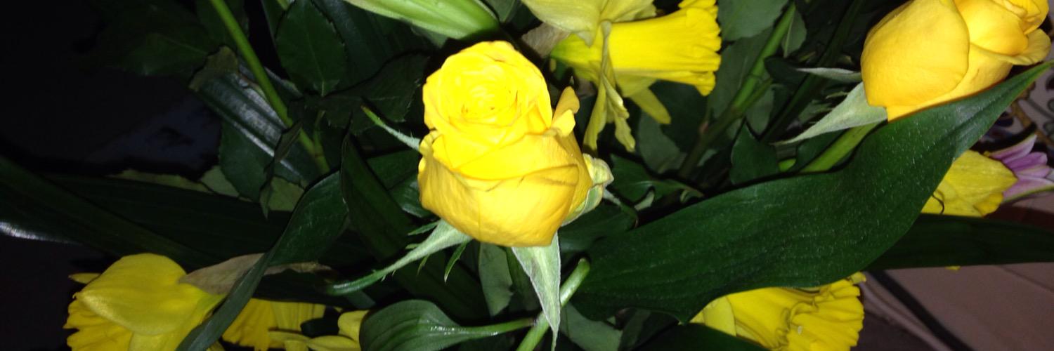 KristyCoxon's profile banner image