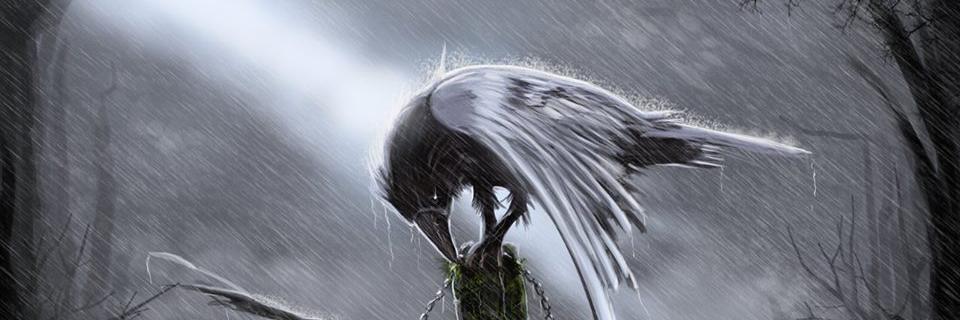 OpalRidings's profile banner image