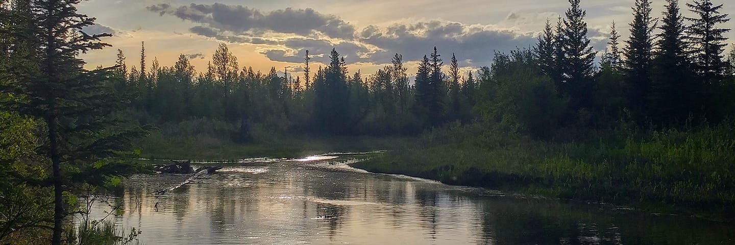 Weaselhead Society banner