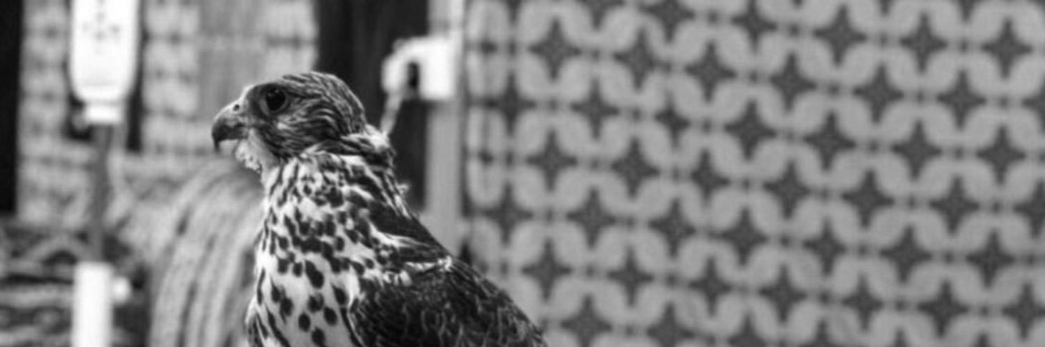 Y77beS's profile banner image