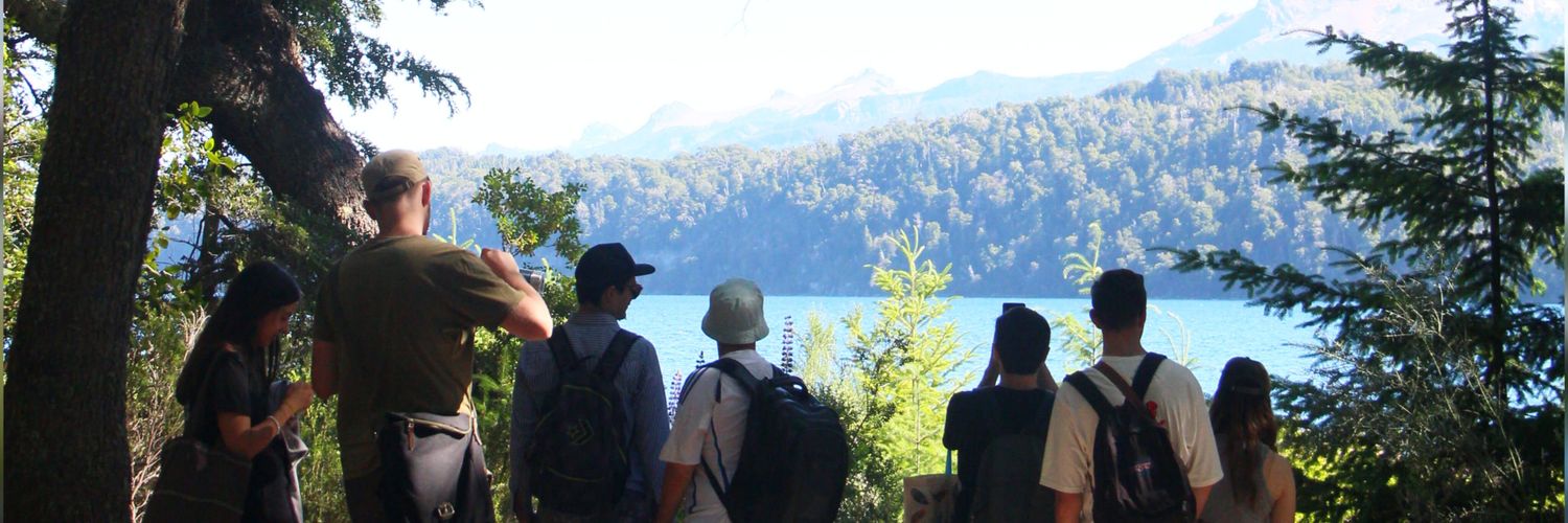 Mauricio David banner