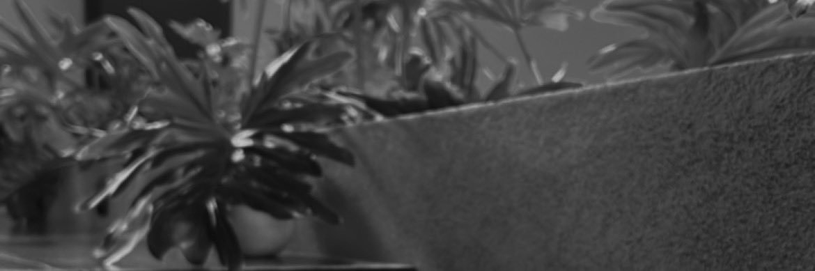 Poly_Moctezuma's profile banner image