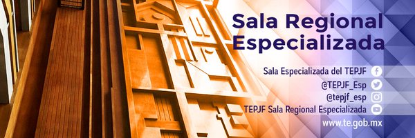 TEPJF_Esp Profile Banner