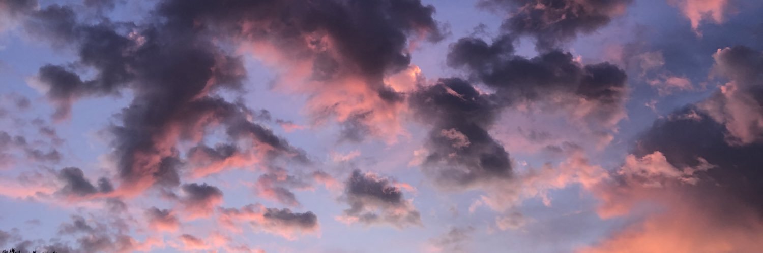 makenseywerring's profile banner image