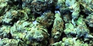 xMCMXCVx's profile banner image