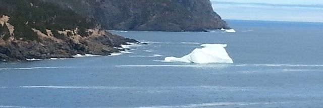 Wanda Tobin-Hammond banner