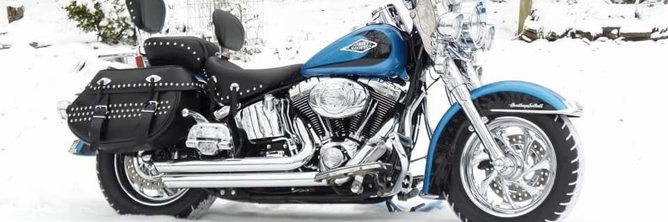 Molly osborne banner