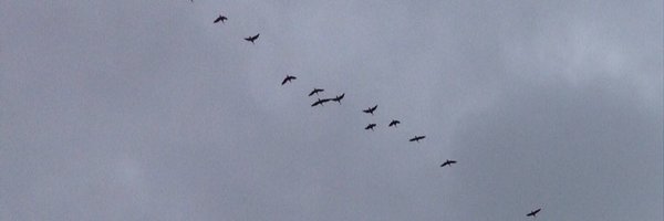 P_Leyshon Profile Banner