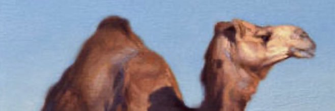 camel7601's profile banner image